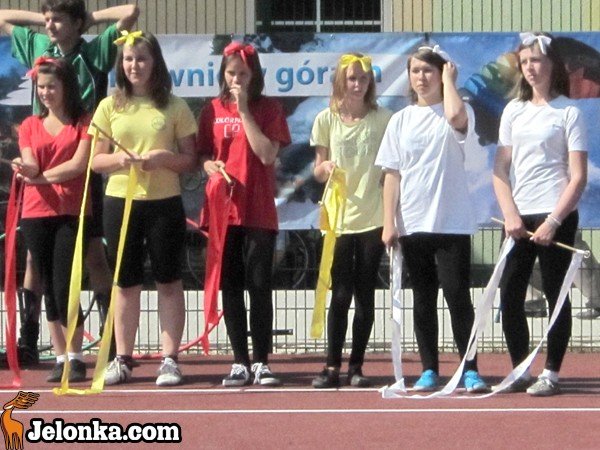 orlik-rozwina-skrzyda-w-sosnowce-34312