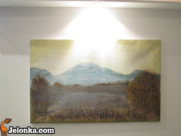 pedzlem-i-sowem-czyli-tworczy-duet-w-poku-34358