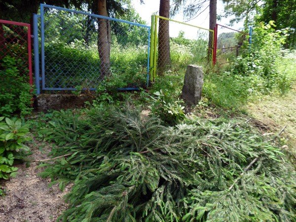 sprzatali-i-zniszczyli-jagniatkowskie-rododendrony-34456