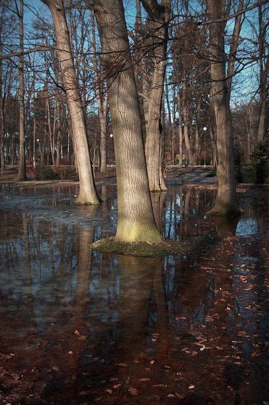 znane-i-nieznane-parki-cieplickie-uwiecznione-na-fotografiach-34639