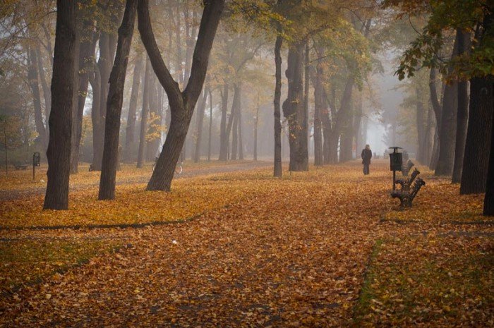znane-i-nieznane-parki-cieplickie-uwiecznione-na-fotografiach-34639