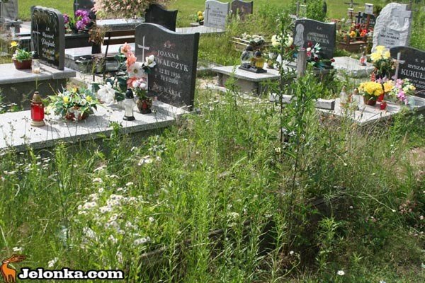 mogiy-w-chaszczach-profanacja-czy-niedbalstwo-34656