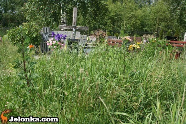 mogiy-w-chaszczach-profanacja-czy-niedbalstwo-34656