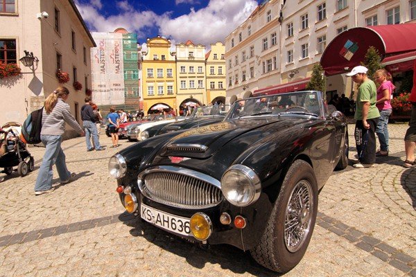 cacuszka-na-czterech-kokach-austiny-i-jaguar-podbiy-jelenia-gore-34704