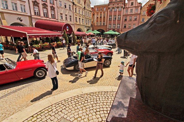 cacuszka-na-czterech-kokach-austiny-i-jaguar-podbiy-jelenia-gore-34704