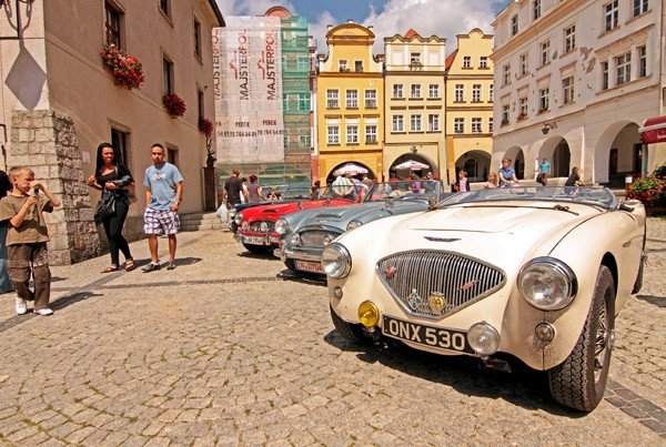 cacuszka-na-czterech-kokach-austiny-i-jaguar-podbiy-jelenia-gore-34704
