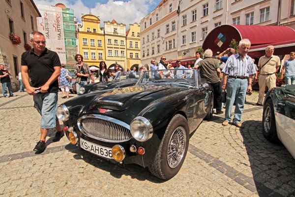cacuszka-na-czterech-kokach-austiny-i-jaguar-podbiy-jelenia-gore-34704