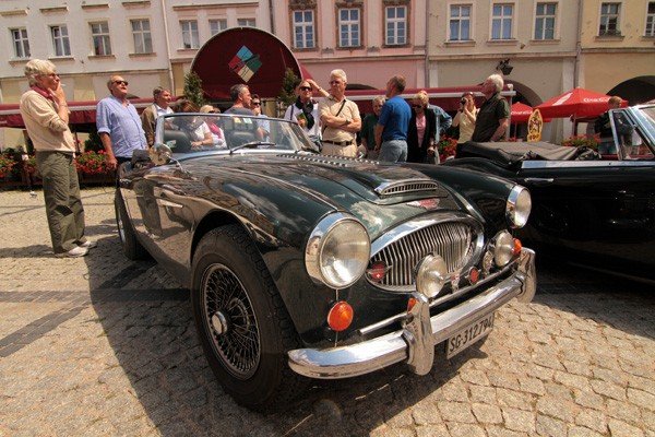 cacuszka-na-czterech-kokach-austiny-i-jaguar-podbiy-jelenia-gore-34704