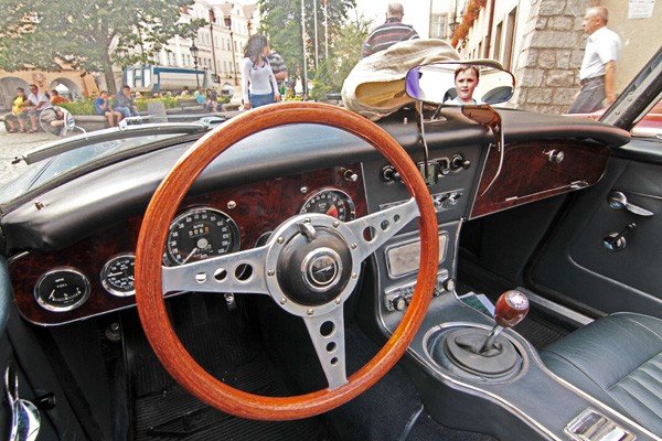 cacuszka-na-czterech-kokach-austiny-i-jaguar-podbiy-jelenia-gore-34704