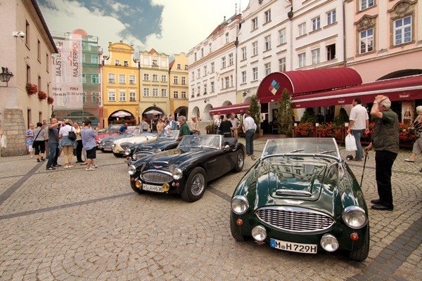 cacuszka-na-czterech-kokach-austiny-i-jaguar-podbiy-jelenia-gore-34704