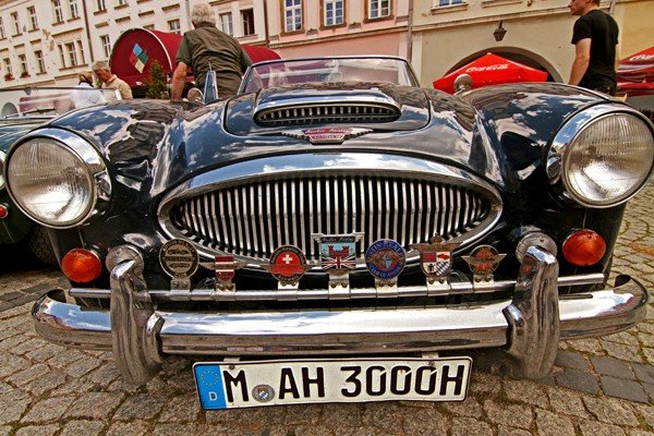 cacuszka-na-czterech-kokach-austiny-i-jaguar-podbiy-jelenia-gore-34704
