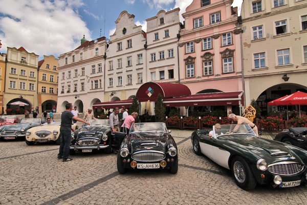 cacuszka-na-czterech-kokach-austiny-i-jaguar-podbiy-jelenia-gore-34704