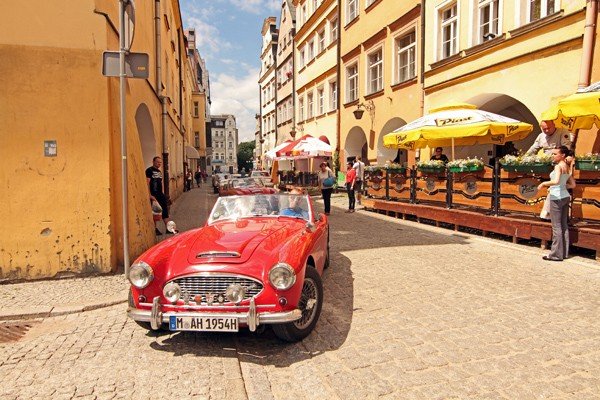 cacuszka-na-czterech-kokach-austiny-i-jaguar-podbiy-jelenia-gore-34704