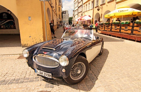 cacuszka-na-czterech-kokach-austiny-i-jaguar-podbiy-jelenia-gore-34704