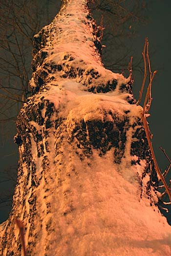 powrot-zimy-3480
