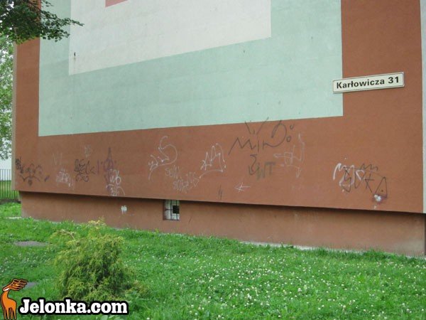 pobi-ochroniarza-i-pobazgra-sprejem-blokowiska-34849