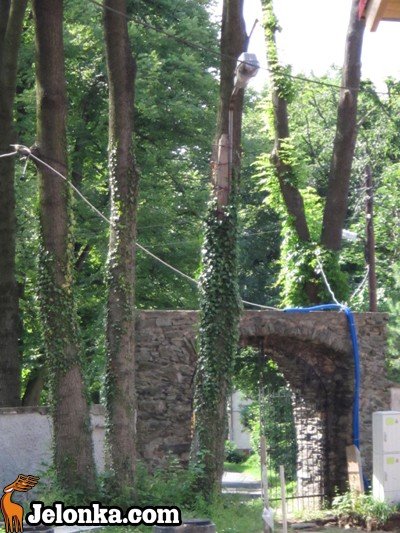 coraz-blizej-do-pieknych-widokow-z-radomierskiej-wiezy-34891