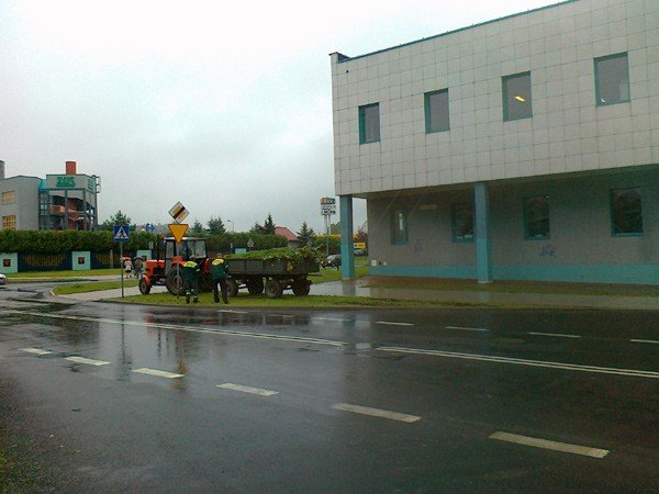 kto-naprawi-zniszczone-trawniki-34893