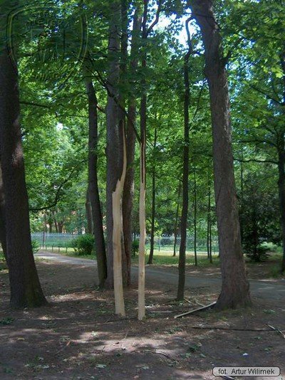 park-zdrojowy-rewitalizowany-podtapiany-i-dewastowany-34903