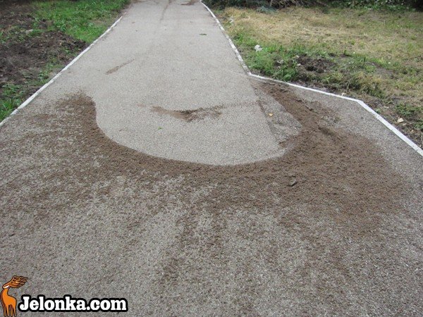 park-zdrojowy-rewitalizowany-podtapiany-i-dewastowany-34903