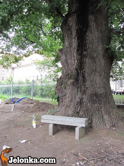 park-zdrojowy-rewitalizowany-podtapiany-i-dewastowany-34903
