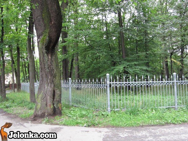 park-zdrojowy-rewitalizowany-podtapiany-i-dewastowany-34903