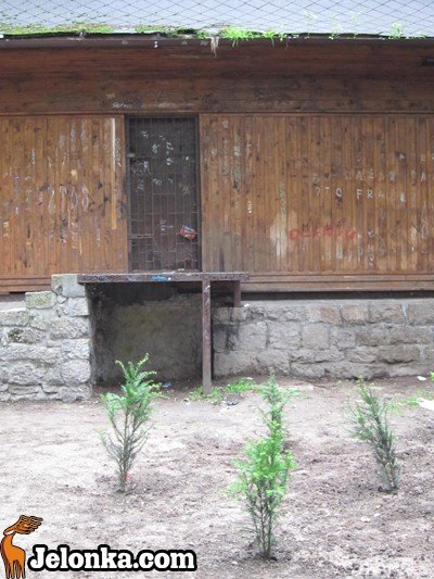 park-zdrojowy-rewitalizowany-podtapiany-i-dewastowany-34903