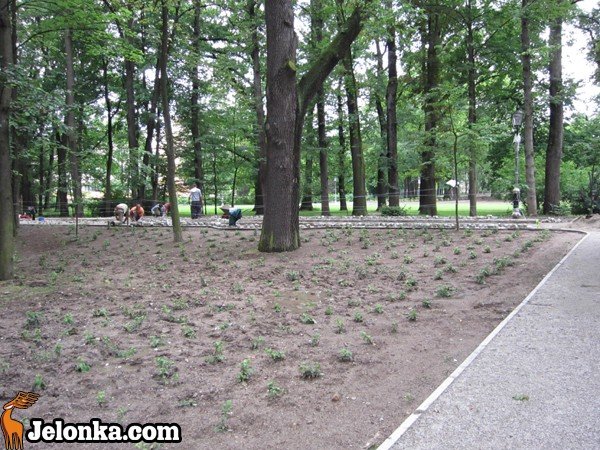 park-zdrojowy-rewitalizowany-podtapiany-i-dewastowany-34903