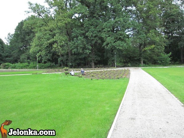 park-zdrojowy-rewitalizowany-podtapiany-i-dewastowany-34903