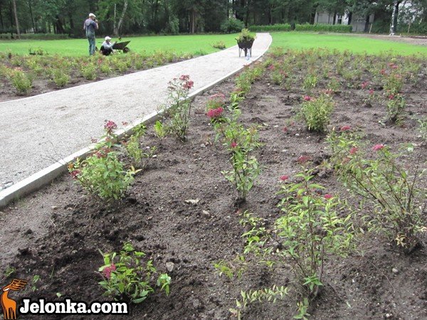 park-zdrojowy-rewitalizowany-podtapiany-i-dewastowany-34903
