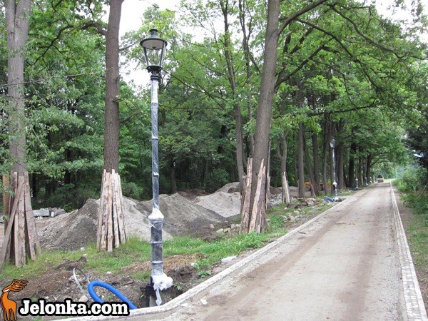 park-zdrojowy-rewitalizowany-podtapiany-i-dewastowany-34903