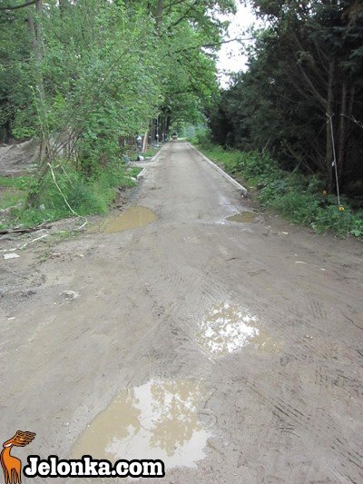 park-zdrojowy-rewitalizowany-podtapiany-i-dewastowany-34903