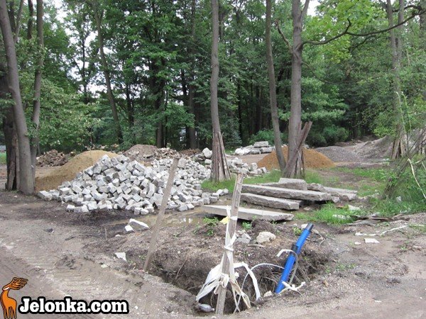 park-zdrojowy-rewitalizowany-podtapiany-i-dewastowany-34903