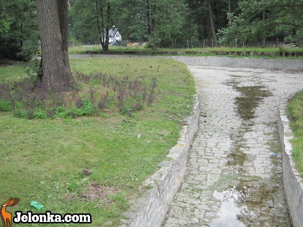 park-zdrojowy-rewitalizowany-podtapiany-i-dewastowany-34903