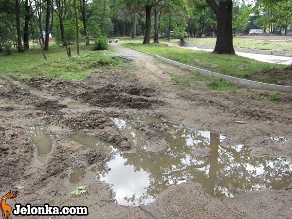 park-zdrojowy-rewitalizowany-podtapiany-i-dewastowany-34903