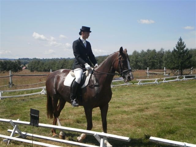 ujezdzali-towarzysko-piekno-harmonii-34952