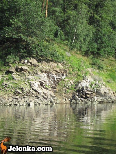 zaglowka-w-rejs-po-jeziorze-pilchowickim-ozywianie-akwenu-35082