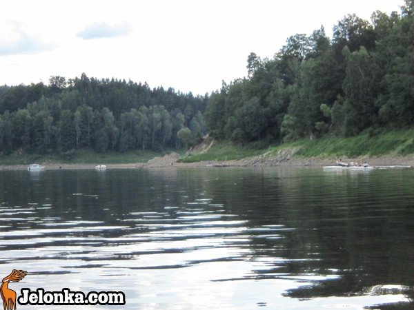 zaglowka-w-rejs-po-jeziorze-pilchowickim-ozywianie-akwenu-35082