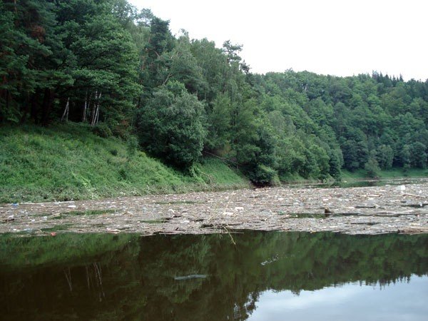 bomba-ekologiczna-na-jeziorze-pilchowickim-35163