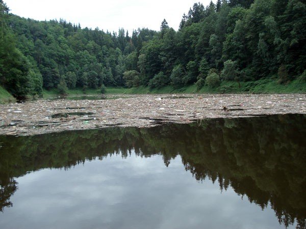 bomba-ekologiczna-na-jeziorze-pilchowickim-35163