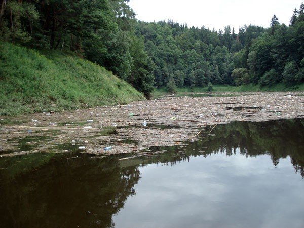 bomba-ekologiczna-na-jeziorze-pilchowickim-35163