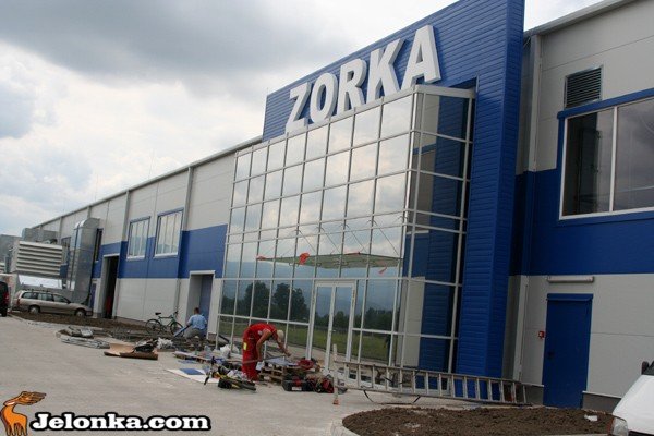 trzeba-wiecej-informatykow-niz-stolarzy-zorka-z-ikea-ramie-w-ramie-35214