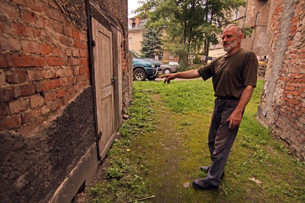 zaby-i-szczury-w-piwnicy-na-zjednoczenia-narodowego-35222