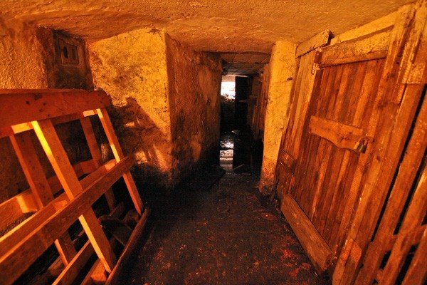 zaby-i-szczury-w-piwnicy-na-zjednoczenia-narodowego-35222