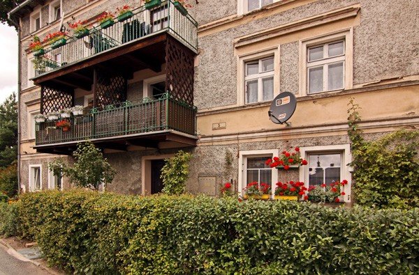 zaby-i-szczury-w-piwnicy-na-zjednoczenia-narodowego-35222