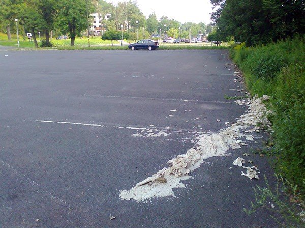 opakowali-auto-w-papier-toaletowy-35259