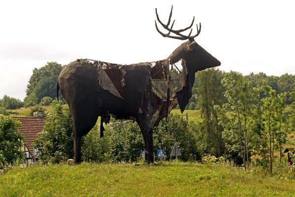 jak-smutny-jest-los-jelenia-35270