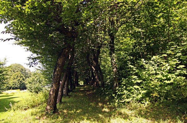 nie-tylko-po-piekne-widoki-zamek-wciaz-w-remoncie-35274