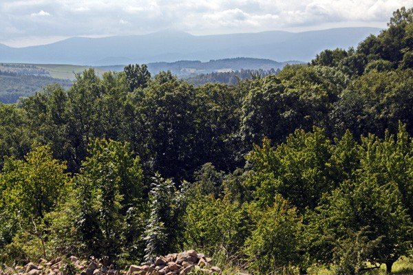 nie-tylko-po-piekne-widoki-zamek-wciaz-w-remoncie-35274