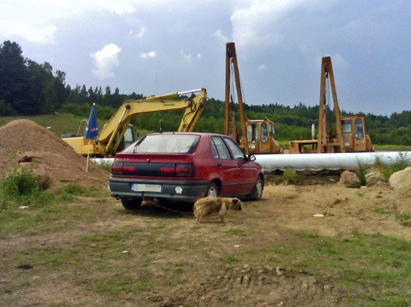 wycienczony-pies-na-uwiezi-pilnuje-placu-budowy-35382